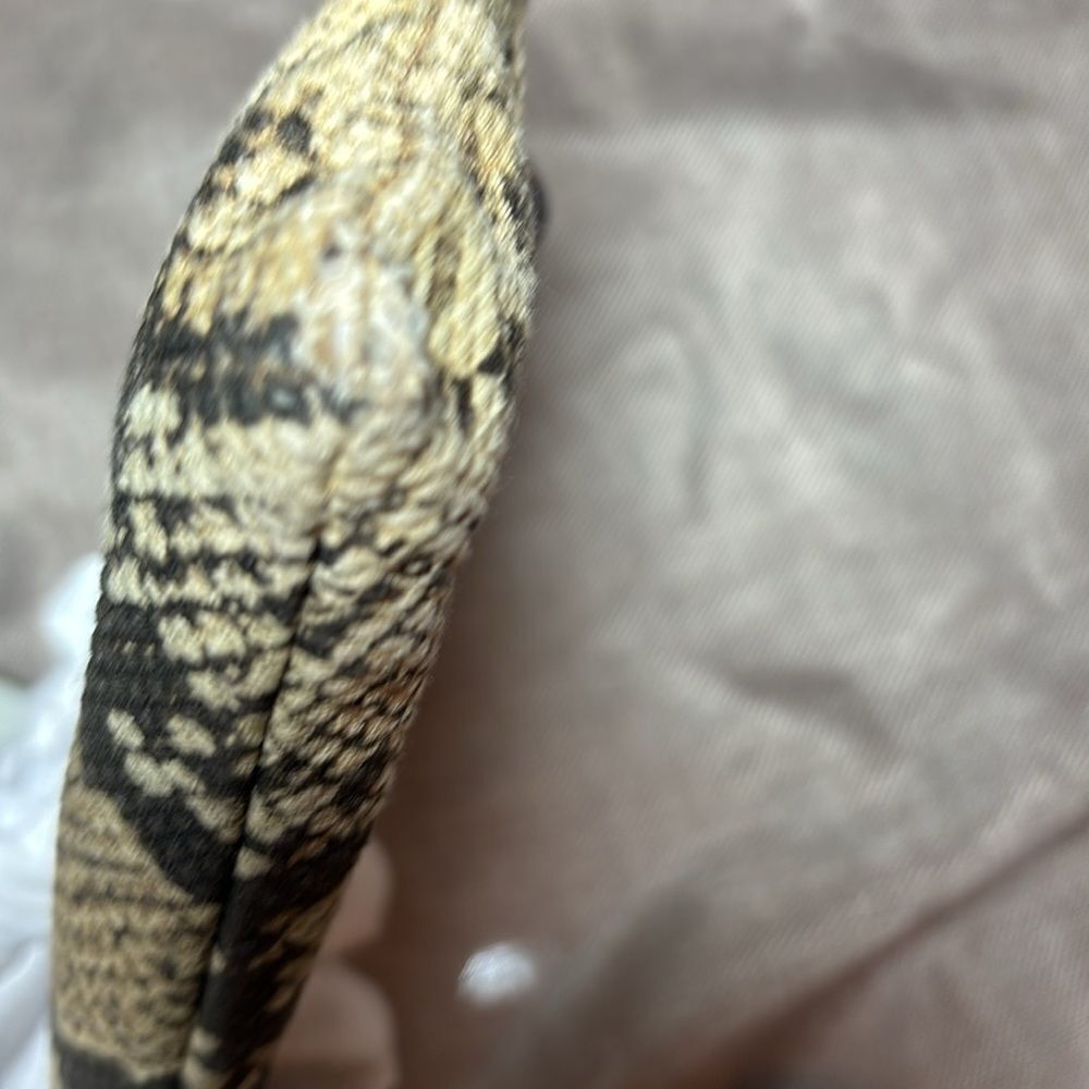 COACH Madison Python Print Wristlet - Picture 8 of 9